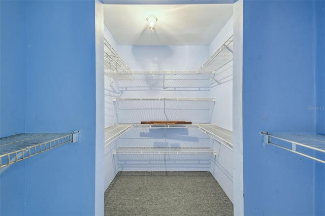 8755 Marigold Dr, New Port Richey, FL 34654 - walk in closet with carpet flooring