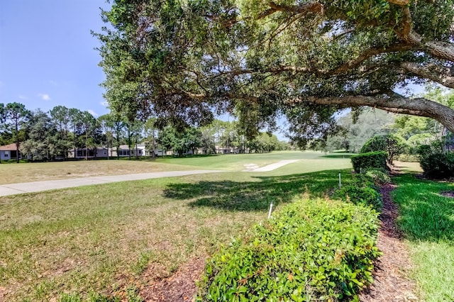 14466 Tamarind Loop, Spring Hill, FL 34609 - view of grassy yard with view of golf course