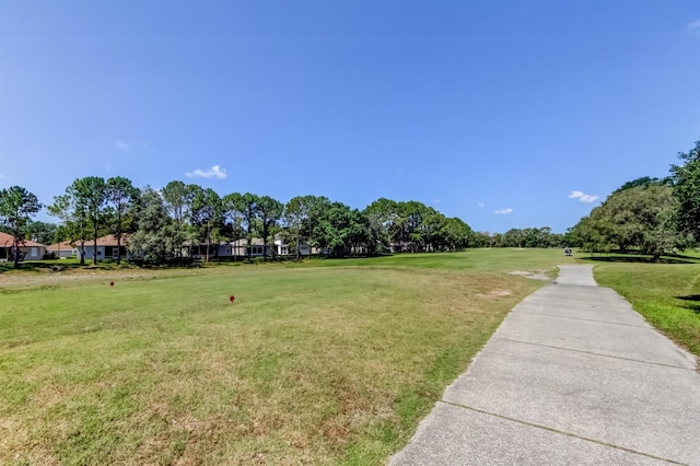 14466 Tamarind Loop, Spring Hill, FL 34609 - view of property's community featuring a lawn