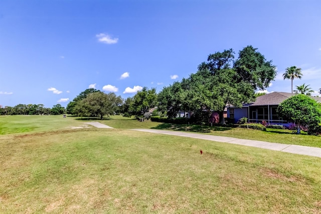 14466 Tamarind Loop, Spring Hill, FL 34609 - view of green lawn