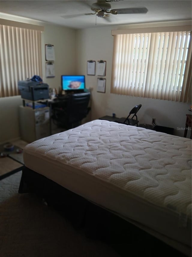 9516 Glen Moor Ln, Port Richey, FL 34668 - bedroom with carpet and ceiling fan