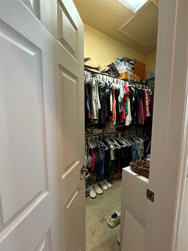 13248 Linzia Ln, Spring Hill, FL 34609 - view of spacious closet