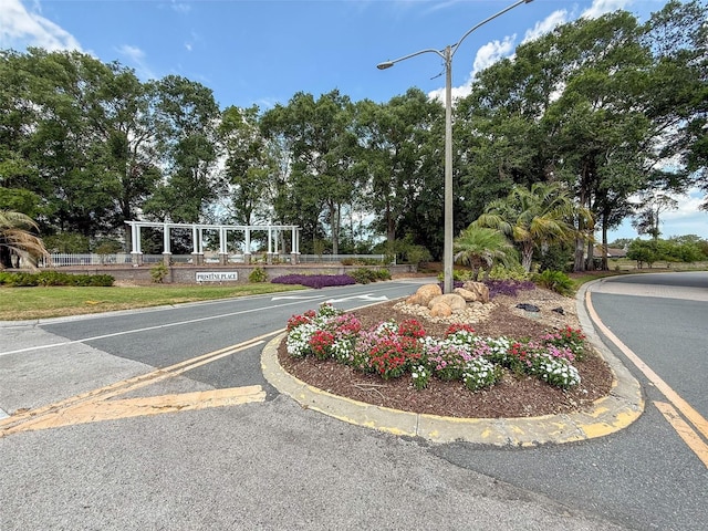 13248 Linzia Ln, Spring Hill, FL 34609 - view of asphalt road with street lighting and view of wooded area