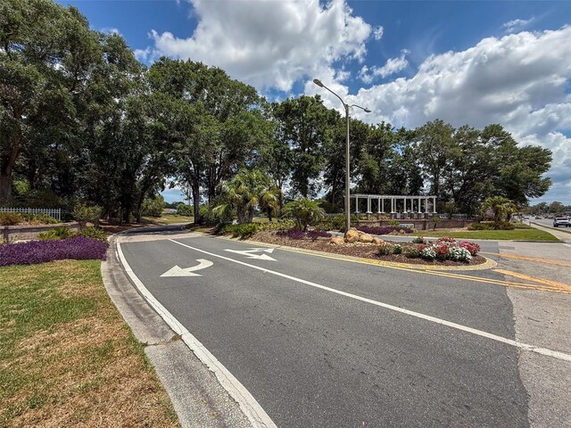 13248 Linzia Ln, Spring Hill, FL 34609 - view of asphalt street with street lights and curbs