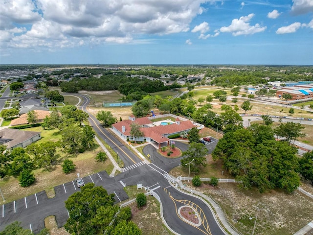 13248 Linzia Ln, Spring Hill, FL 34609 - drone / aerial view