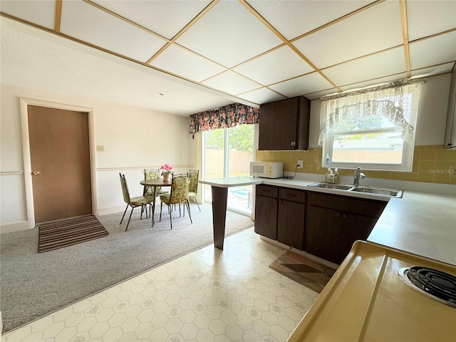 11034 Harding Dr, Port Richey, FL 34668 - kitchen with white microwave, a sink, light colored carpet, dark brown cabinetry, and light countertops