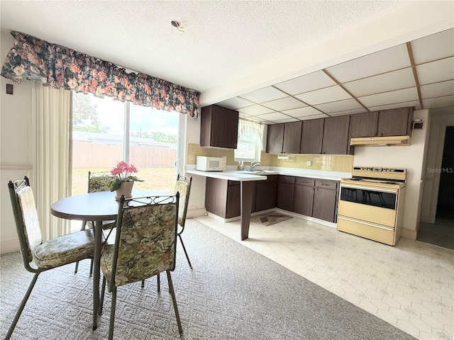 11034 Harding Dr, Port Richey, FL 34668 - kitchen with range with electric cooktop, white microwave, under cabinet range hood, a sink, and light countertops