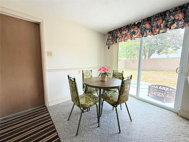 11034 Harding Dr, Port Richey, FL 34668 - carpeted dining room featuring a textured ceiling