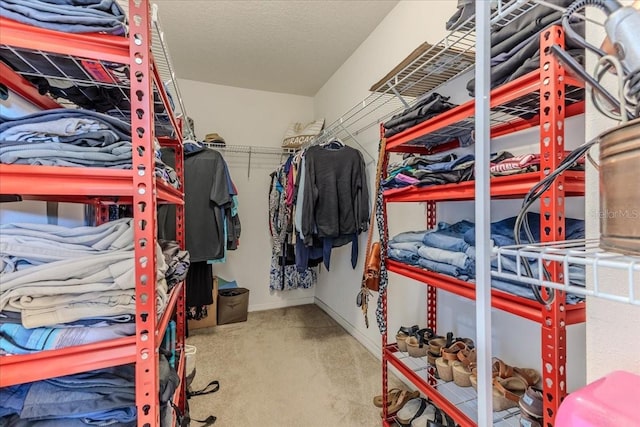 4094 Braemere Dr, Spring Hill, FL 34609 - walk in closet with carpet floors