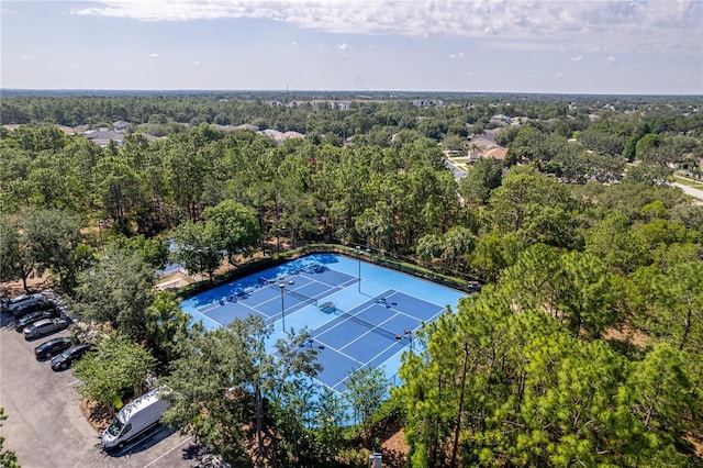 4094 Braemere Dr, Spring Hill, FL 34609 - photo 68