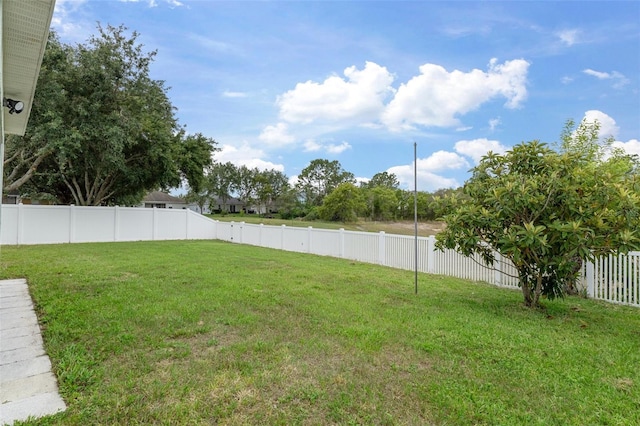 4215 Maplehurst Way, Spring Hill, FL 34609 - view of yard