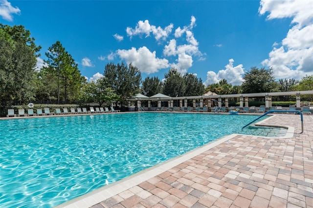 4215 Maplehurst Way, Spring Hill, FL 34609 - community pool with a patio area and view of wooded area