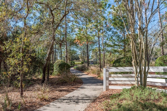 4215 Maplehurst Way, Spring Hill, FL 34609 - view of community