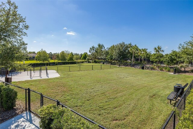 3051 Francoa Dr, Odessa, FL 33556 - view of yard