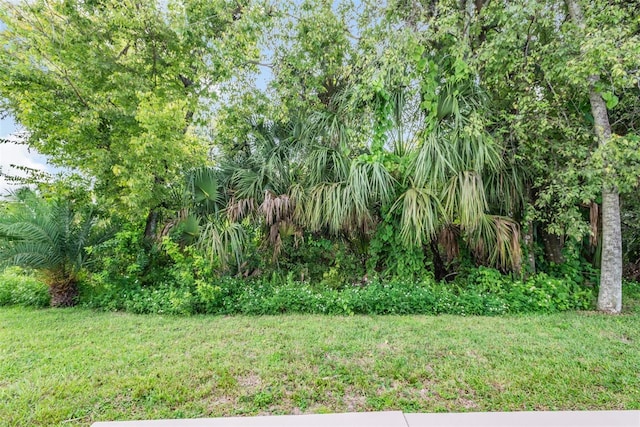 4468 Rudder Way, New Port Richey, FL 34652 - view of green lawn
