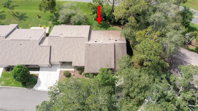 6620 Brambleleaf Dr, Spring Hill, FL 34606 - view of subject property