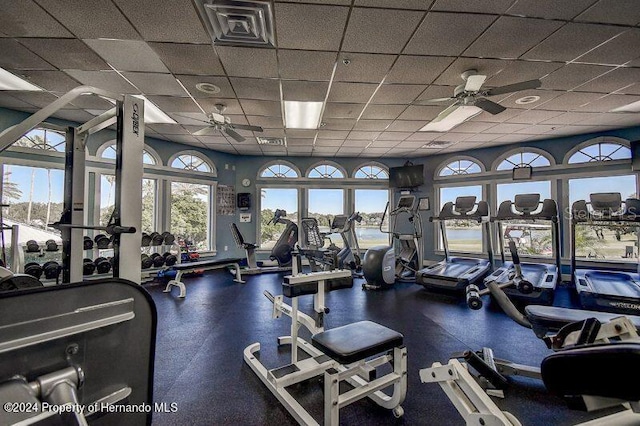 10044 Twelve Oaks Ct, Weeki Wachee, FL 34613 - gym with a ceiling fan and a drop ceiling
