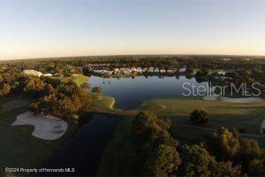 10044 Twelve Oaks Ct, Weeki Wachee, FL 34613 - drone / aerial view of a nearby body of water