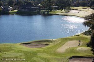 10044 Twelve Oaks Ct, Weeki Wachee, FL 34613 - view of property's community featuring view of golf course and a water view
