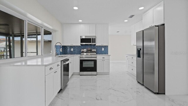 1024 Spindle Palm Way, Apollo Beach, FL 33572 - kitchen with stainless steel appliances, a sink, recessed lighting, tasteful backsplash, and white cabinets
