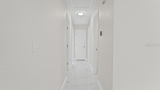 1024 Spindle Palm Way, Apollo Beach, FL 33572 - hall featuring light marble finish flooring and baseboards