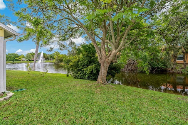 4125 Mc Clung Dr, New Port Richey, FL 34653 - view of grassy yard featuring a water view