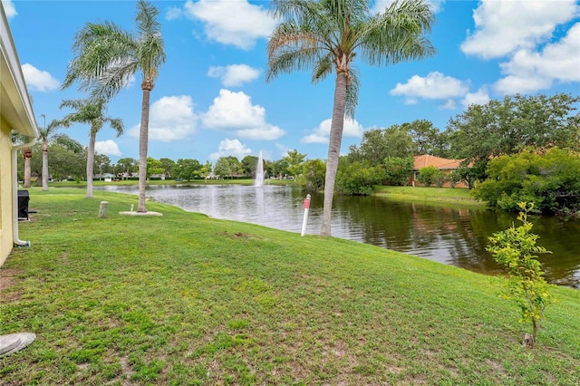 4125 Mc Clung Dr, New Port Richey, FL 34653 - water view