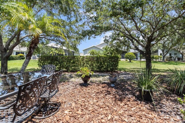 1142 Wolford Dr, Trinity, FL 34655 - view of green lawn with outdoor dining area