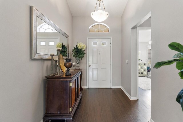 1142 Wolford Dr, Trinity, FL 34655 - foyer entrance with dark wood-style floors and baseboards