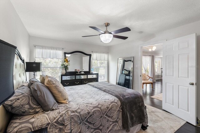 1142 Wolford Dr, Trinity, FL 34655 - bedroom with multiple windows, wood finished floors, and ceiling fan