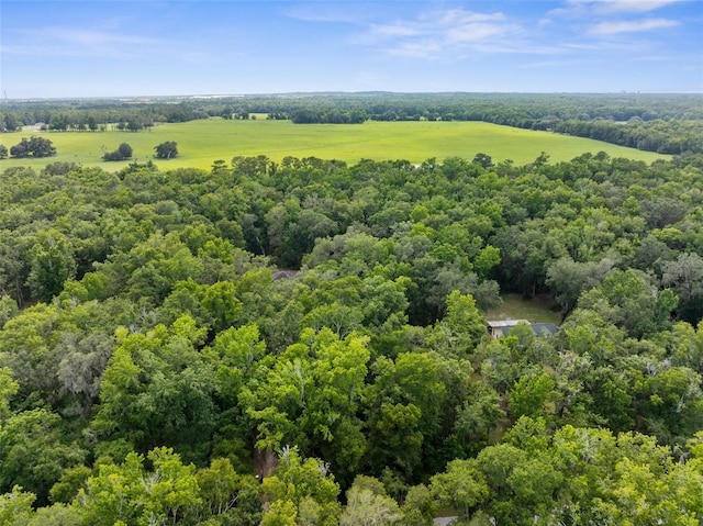 12085 Stringer Rd, Brooksville, FL 34601 - photo 94