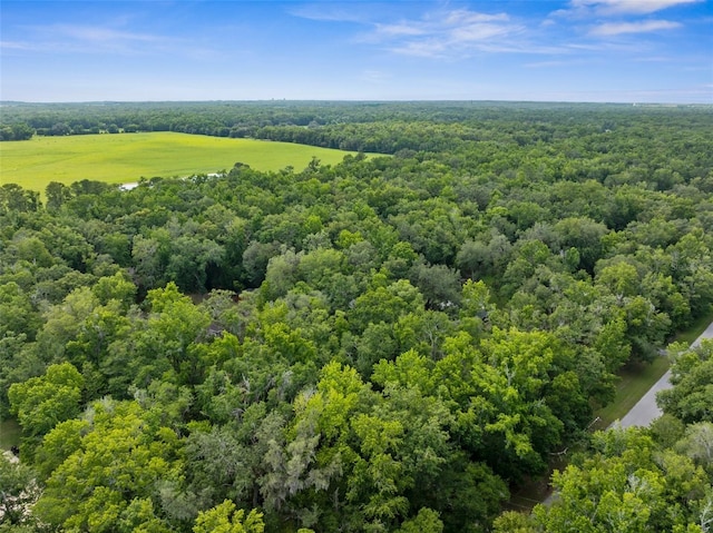 12085 Stringer Rd, Brooksville, FL 34601 - photo 95