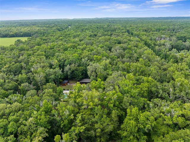 12085 Stringer Rd, Brooksville, FL 34601 - photo 96
