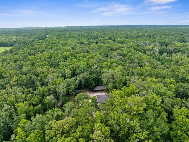 12085 Stringer Rd, Brooksville, FL 34601 - photo 97