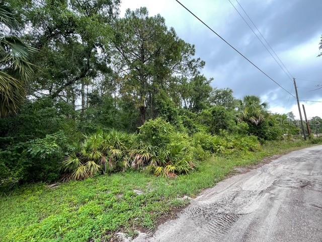 8663 Nicci Ln, New Port Richey, FL 34654