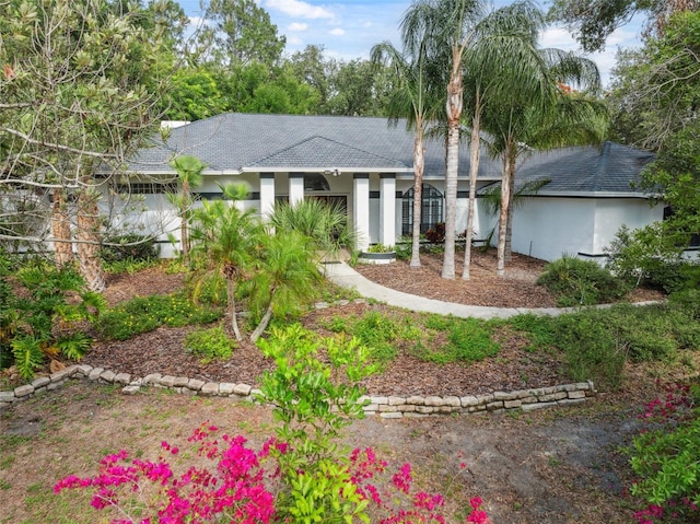 1471 N Jasmine Ave, Tarpon Springs, FL 34689 - view of front of home with roof with shingles and stucco siding