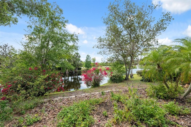 1471 N Jasmine Ave, Tarpon Springs, FL 34689 - view of yard with a water view