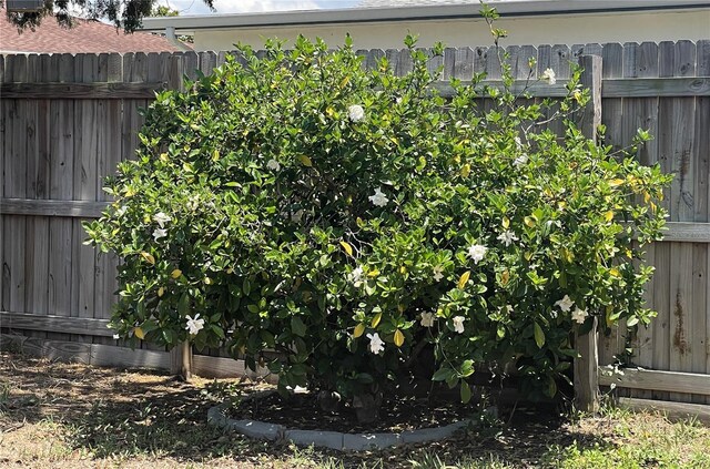7534 Briarwood Dr, Port Richey, FL 34668 - view of yard