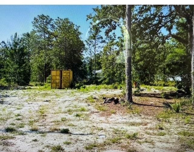 Tailorbird Ave, Brooksville, FL 34614