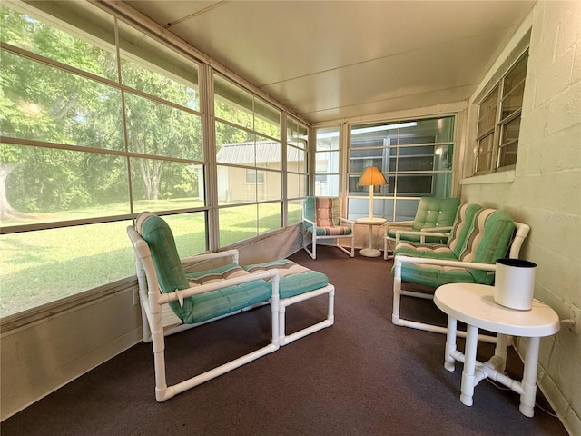 11733 Bayonet Ln, New Port Richey, FL 34654 - view of sunroom / solarium