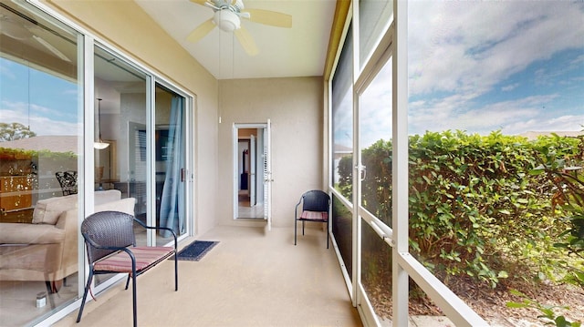 22316 Red Jacket Ln, Land O Lakes, FL 34639 - sunroom with ceiling fan and plenty of natural light