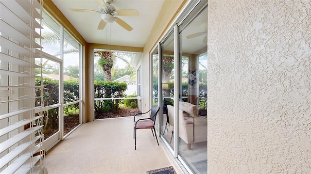 22316 Red Jacket Ln, Land O Lakes, FL 34639 - sunroom featuring a ceiling fan and plenty of natural light