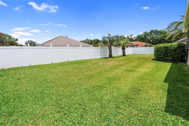 22316 Red Jacket Ln, Land O Lakes, FL 34639 - view of yard