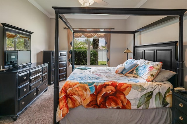 22316 Red Jacket Ln, Land O Lakes, FL 34639 - bedroom featuring carpet flooring, crown molding, and ceiling fan