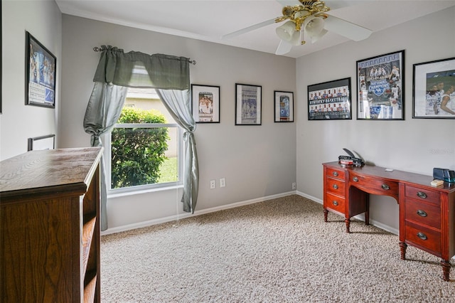 22316 Red Jacket Ln, Land O Lakes, FL 34639 - office space with carpet flooring, a ceiling fan, and baseboards