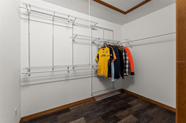 10844 W Yulee Dr, Homosassa, FL 34448 - spacious closet with wood finished floors