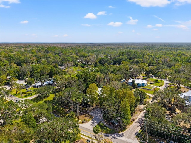 10844 W Yulee Dr, Homosassa, FL 34448 - aerial view of property and surrounding area with a forest