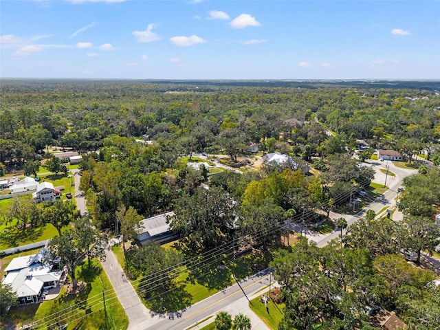 10844 W Yulee Dr, Homosassa, FL 34448 - drone / aerial view of a forest