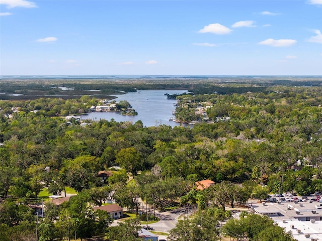 10844 W Yulee Dr, Homosassa, FL 34448 - drone / aerial view of a nearby body of water and a heavily wooded area