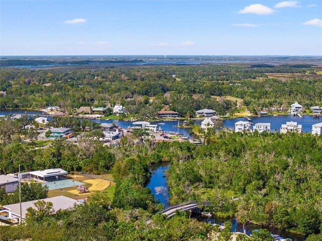 10844 W Yulee Dr, Homosassa, FL 34448 - bird's eye view of a nearby body of water and a forest